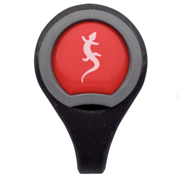 Fixe - Chapa ROCO R2 + Tapeta FIXE