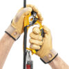 Detalle Petzl ASCENSION