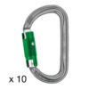 Petzl Am'D PIN-LOCK Pack de 10