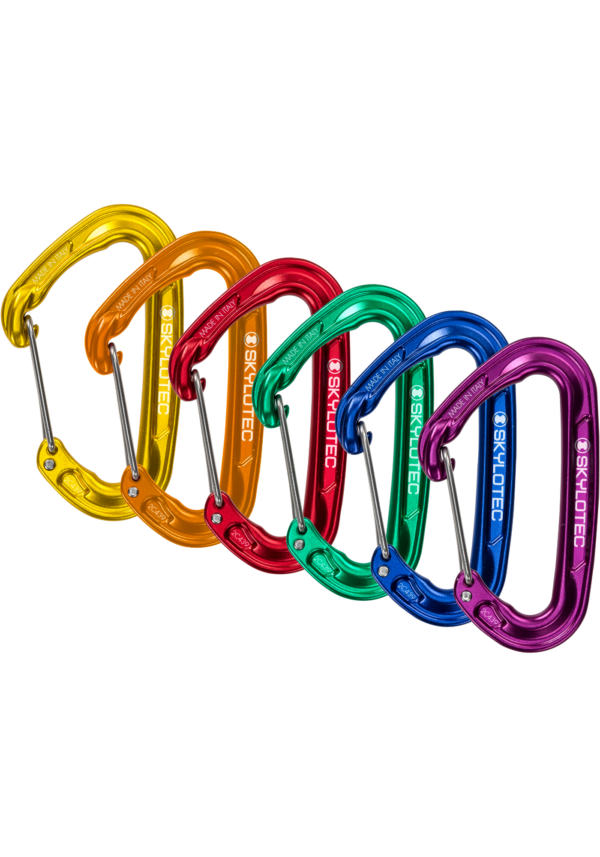 SKYLOTEC FLY-WEIGHT EVO PACK multicolor de 6 mosquetones